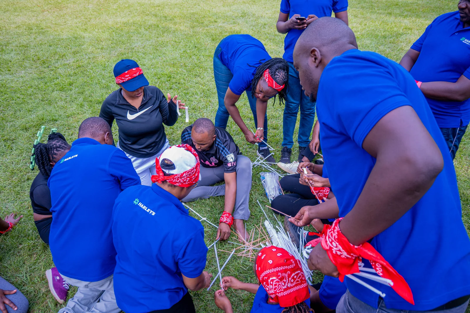 Colleagues planning a task together on the grass